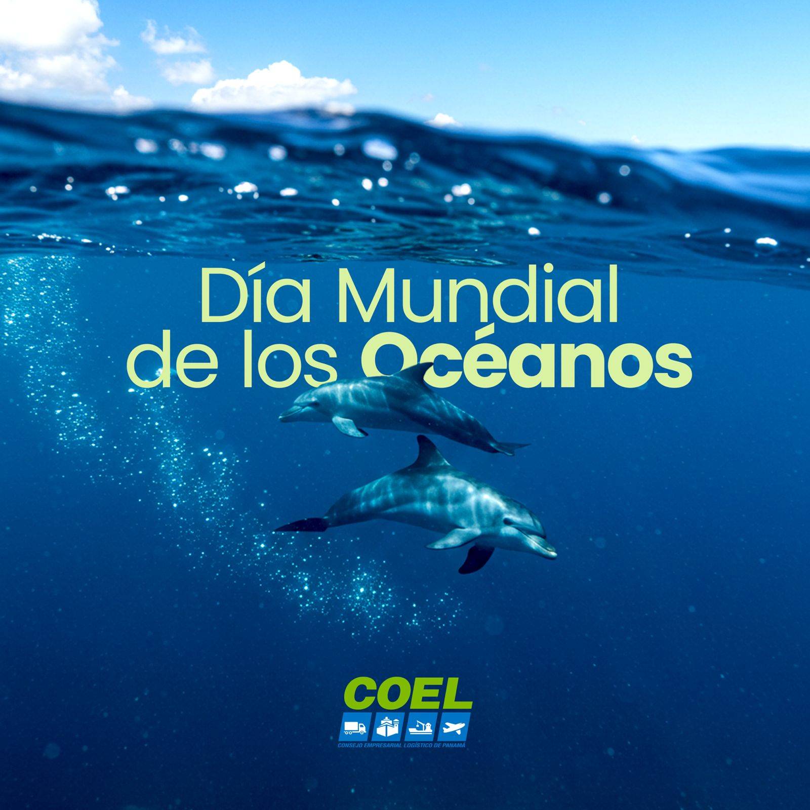 imagen-p